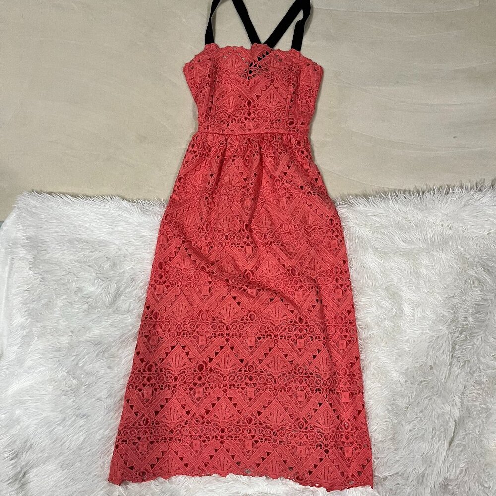 Perseverance London Floral Dress 8